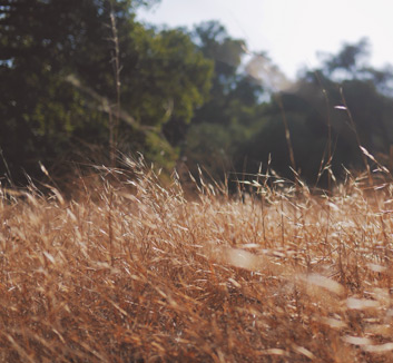 联赛领头羊竞争激烈，各队披荆斩棘