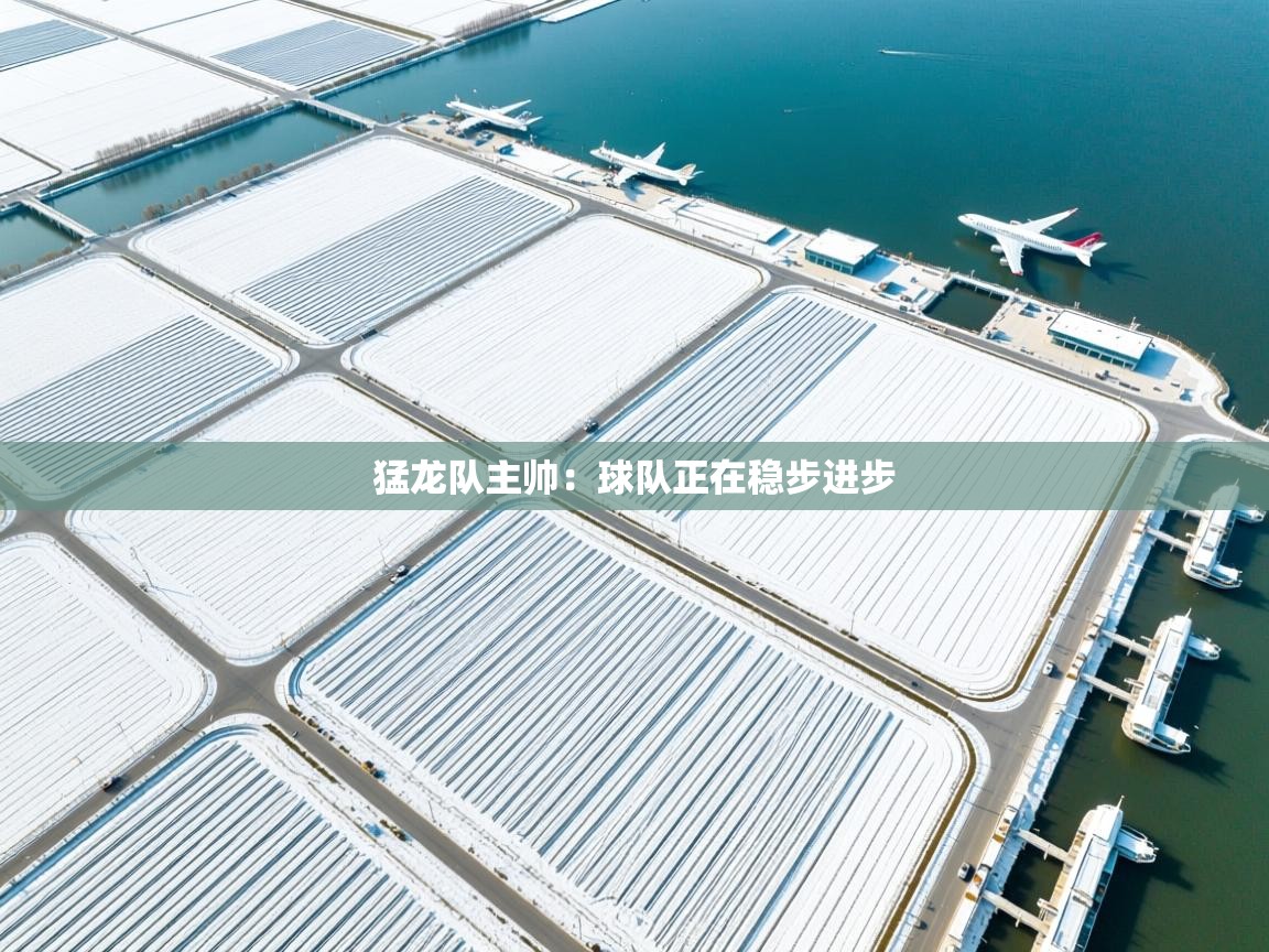 猛龙队主帅：球队正在稳步进步  第2张