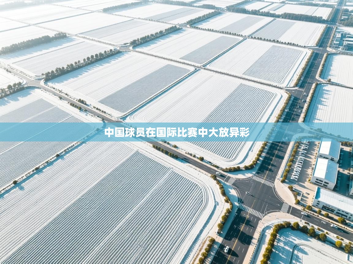 中国球员在国际比赛中大放异彩  第1张