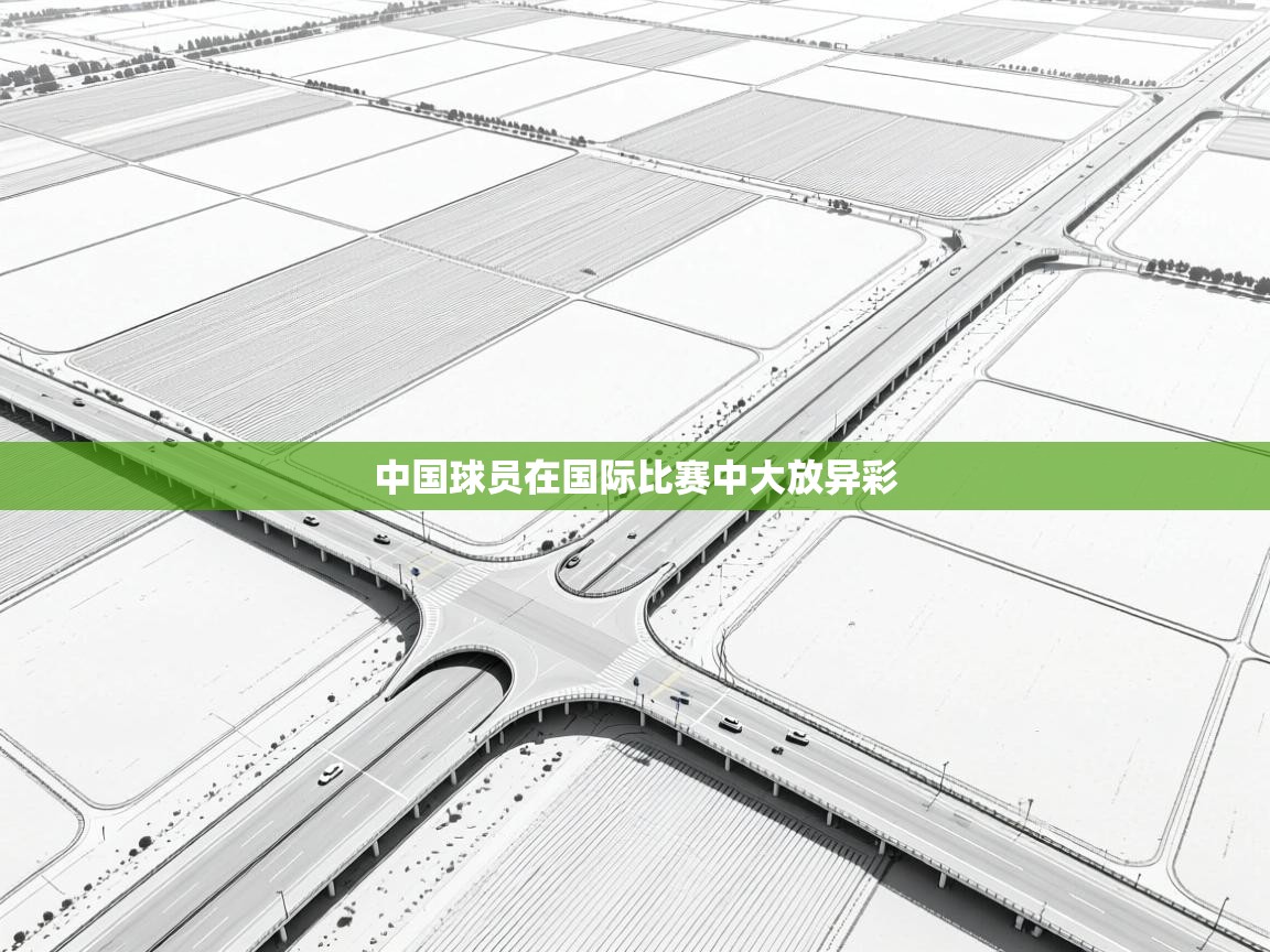 中国球员在国际比赛中大放异彩  第2张