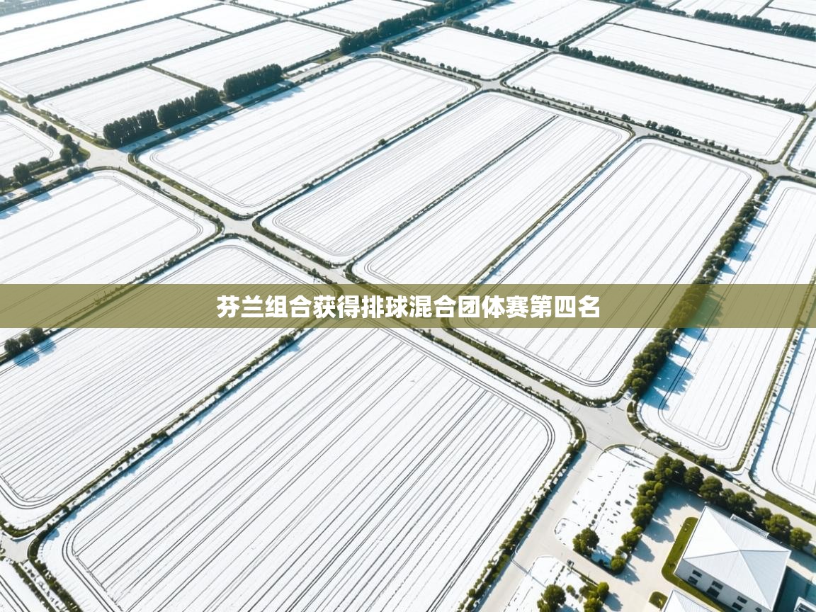 芬兰组合获得排球混合团体赛第四名