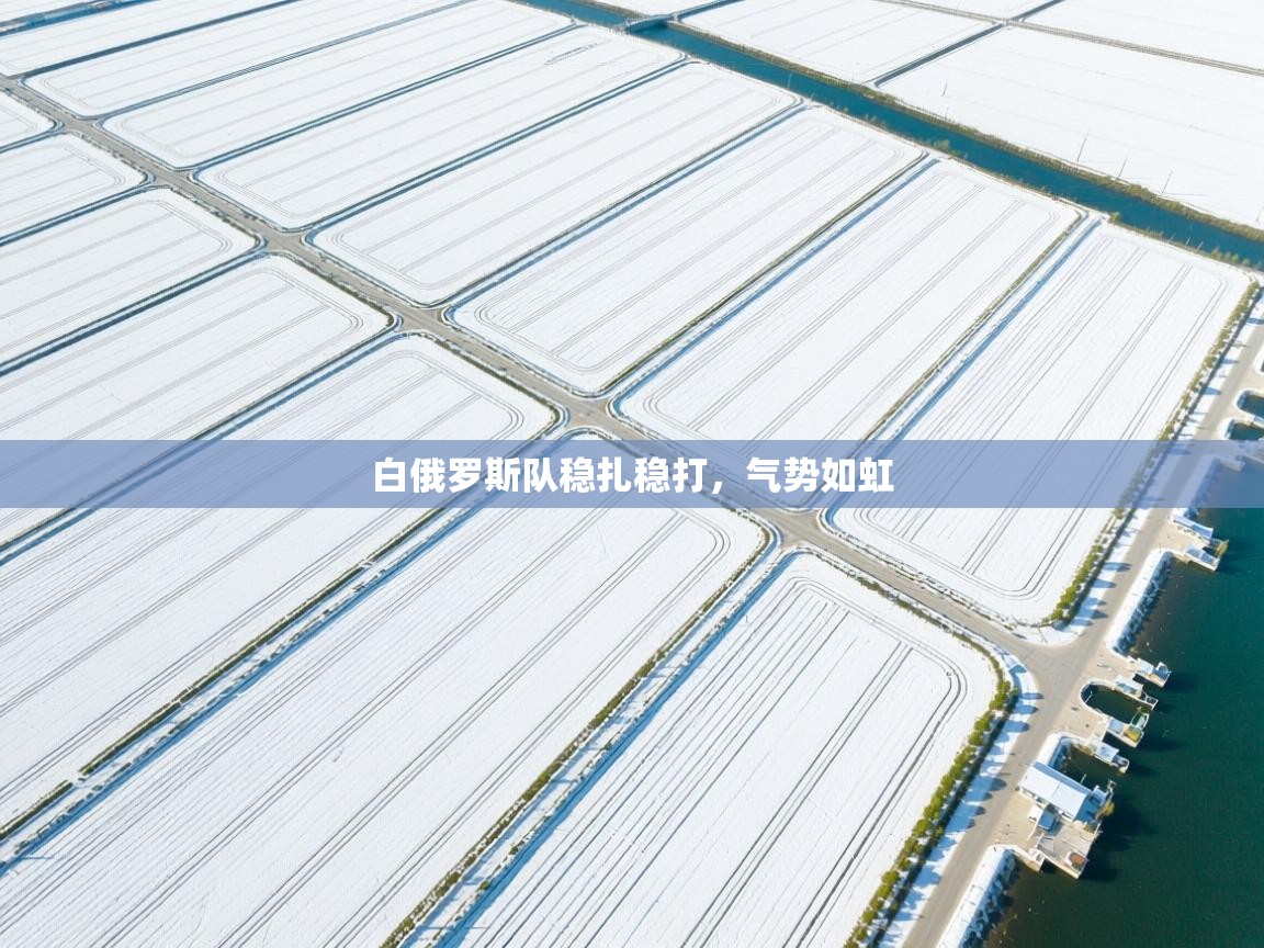 白俄罗斯队稳扎稳打，气势如虹  第1张