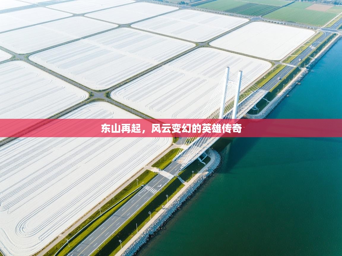 东山再起，风云变幻的英雄传奇  第1张