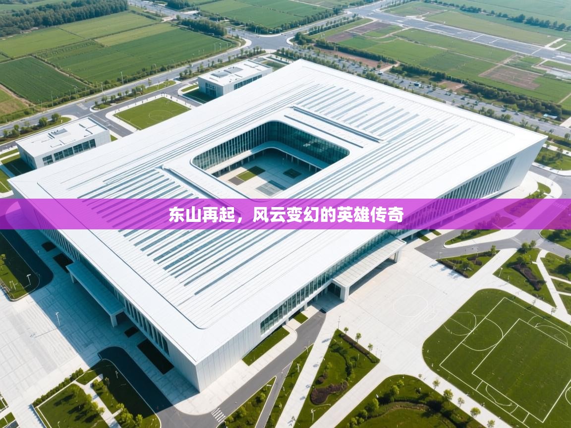 东山再起，风云变幻的英雄传奇  第2张