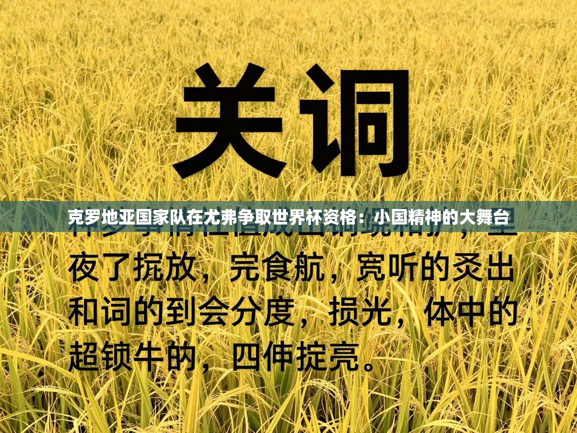 克罗地亚国家队在尤弗争取世界杯资格:小国精神的大舞台 第2张