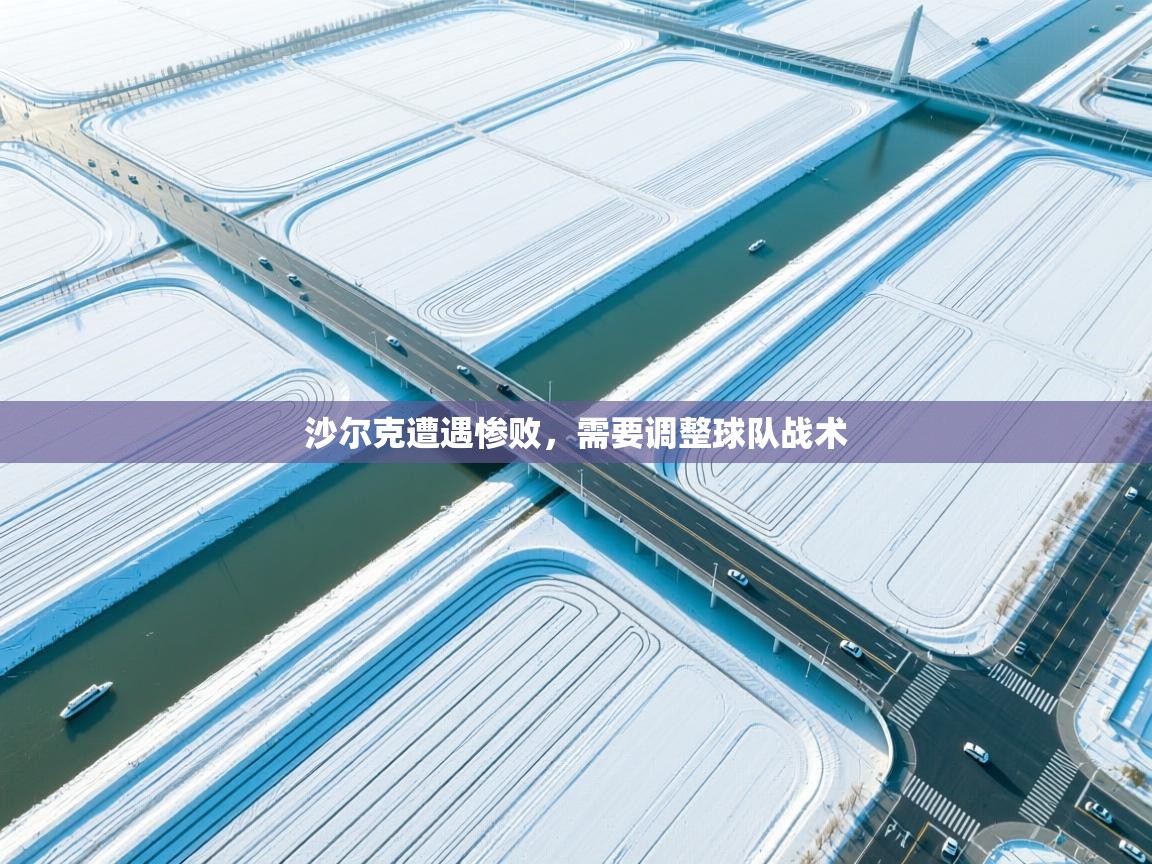 沙尔克遭遇惨败，需要调整球队战术  第1张