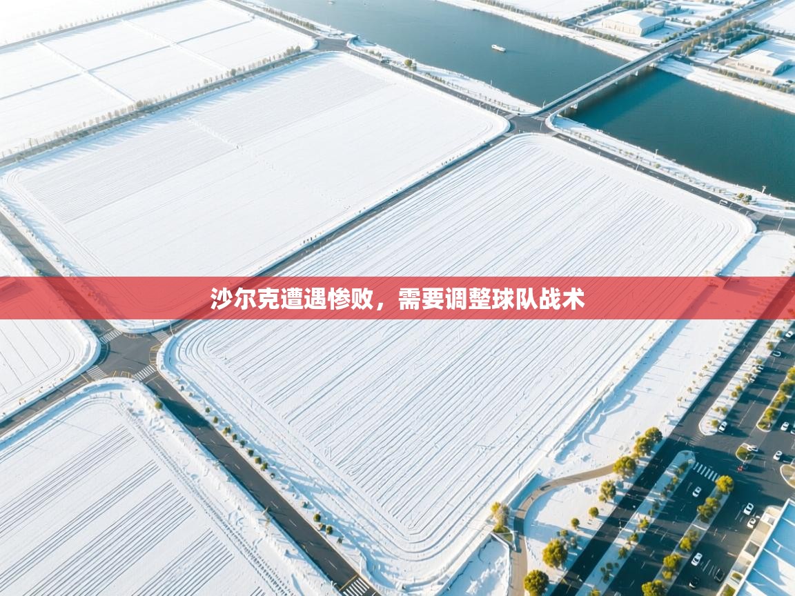 沙尔克遭遇惨败，需要调整球队战术  第2张